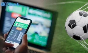 lịch bóng đá 8xbet